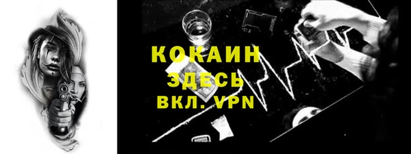 прущие грибы Абинск