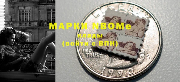 прущие грибы Абинск