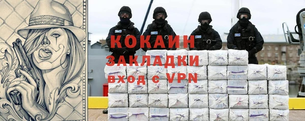 прущие грибы Абинск